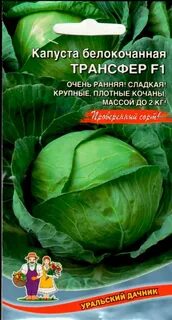 Капуста трансфер