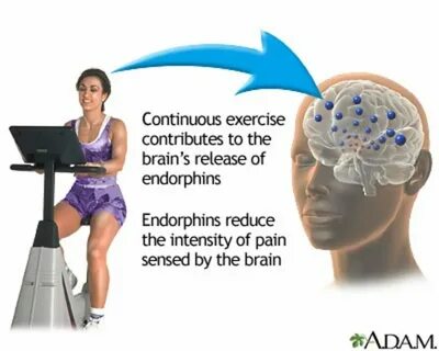 Exercise definition