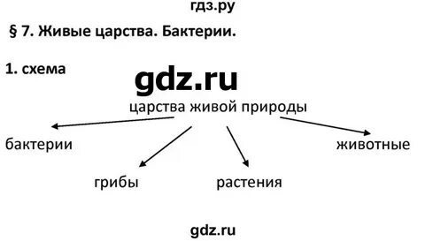 Заполни схему царства живой природы