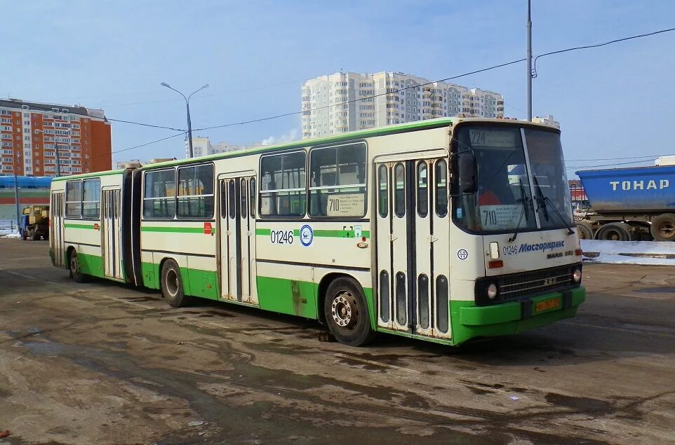 Икарус 280.33м. Икарус 280.33. Ikarus 280.33 Москва. Икарус 280.33а 12245.