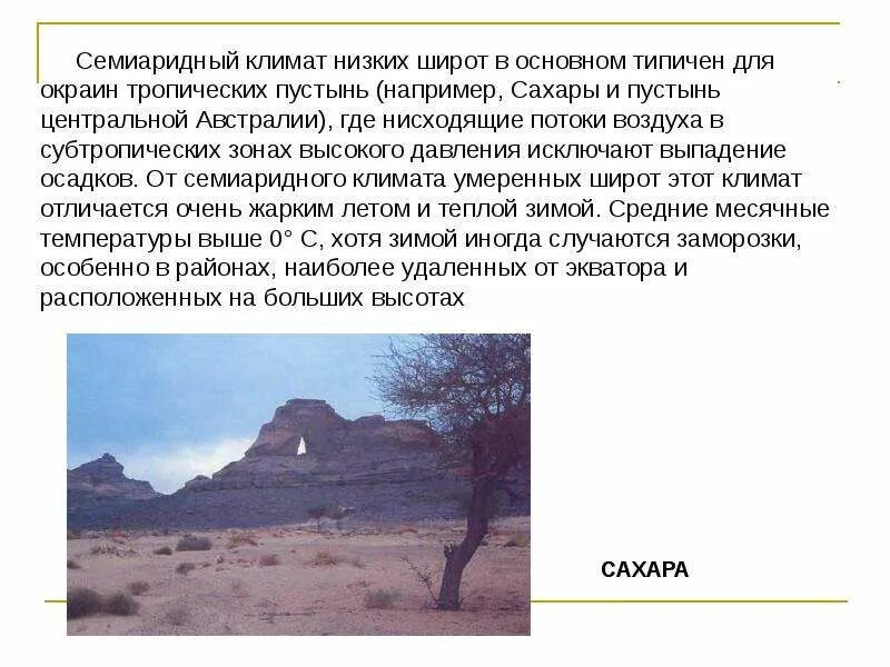 Наибольшее число растений находится в умеренных широтах