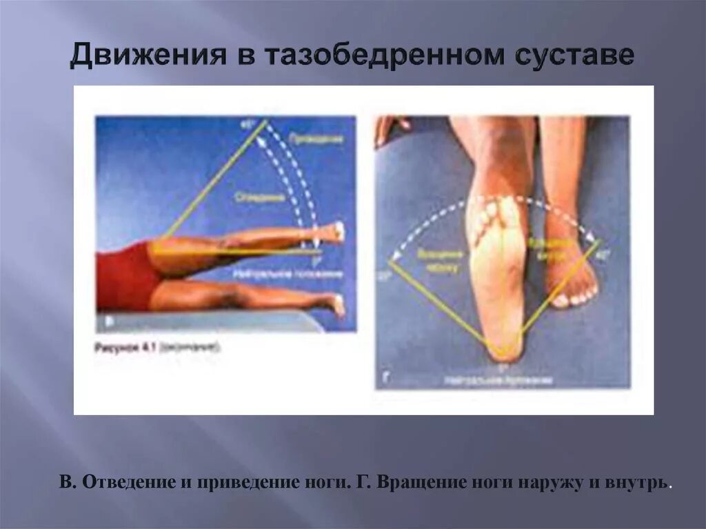 Сгибание разгибание тазобедренного сустава. Голеностопный сустав сгибание разгибание приведение отведение. Отведение и приведение в тазобедренном суставе. Движения в тазобедренном суставе.