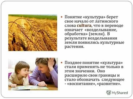 Слово культура несет в себе