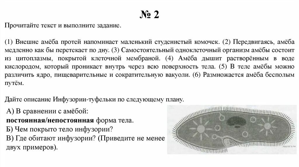 Сравнение биологических объектов 5 класс. Задание на сравнение биологических объектов. ВПР биология 5 класс. Животных ВПР 5. Археолог впр 5 класс биология