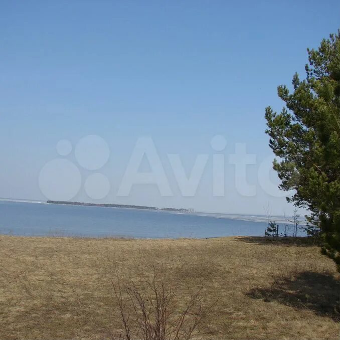 Ларионово Рыбинское водохранилище. Легково Рыбинский район. Ларионово Рыбинск пляж. Деревня Ларионово Рыбинск.