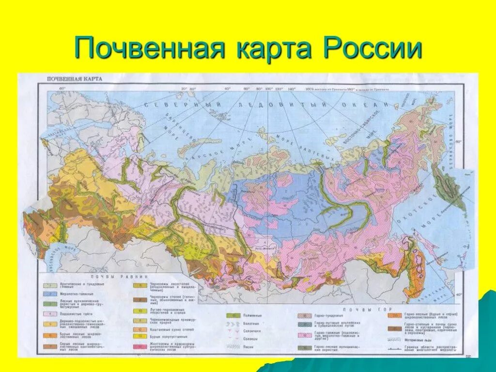 Почвенная карта школьного атласа дает. Типы почв России на карте 8 класс география. Карта плодородия почв России. Основные типы почв России на карте 8 класс. Типы почв России карта.