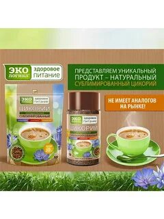 Цикорий эко