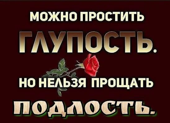 Нельзя глупо. Можно простить глупость но нельзя прощать подлость. Можно простить глупость но нельзя прощать подлость картинки. Можно простить глупость но не подлость.