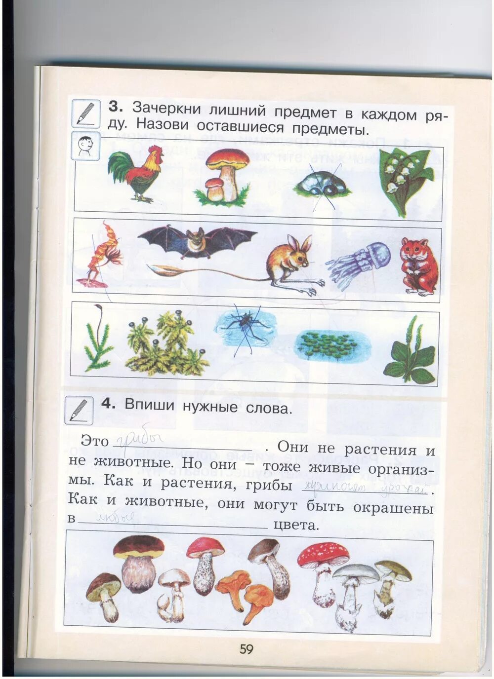 Окружающий мир страница 59 упражнение 3. Окружающий мир 1 класс 59 стр рабочая тетрадь 1. Окружающий мир Вахрушев Раутиан. Окружающий мир 1 класс стр 59. Окружающий мир 1 класс рабочая тетрадь задания.