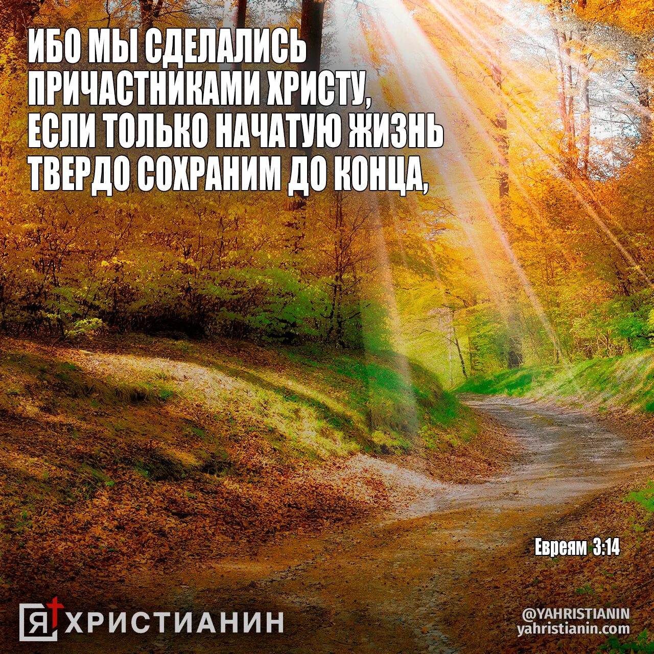 Жизнь только начинается книга 3 глава. Я христианин. ибо мы сделались причастниками христу. послание к евреям 3 глава. я христианин картинки.