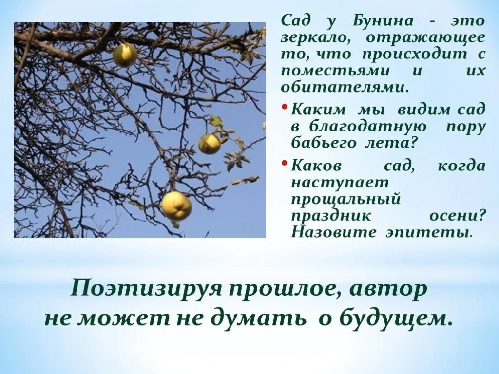 Бабье лето стих дон. Бабье лето Бунин. Бунин в саду. Сочинение на тему бабье лето. Сочинение на тему бабьего лета.