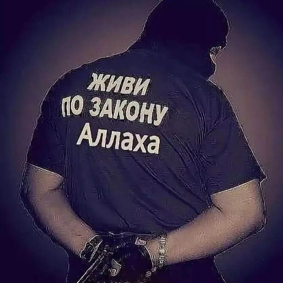 Верь в всевышнего