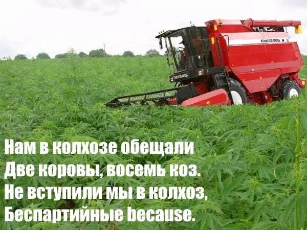 Поеду в колхоз. Частушки про колхоз. колхоз прикол. смешные анекдоты про колхоз. колхоз плакат.