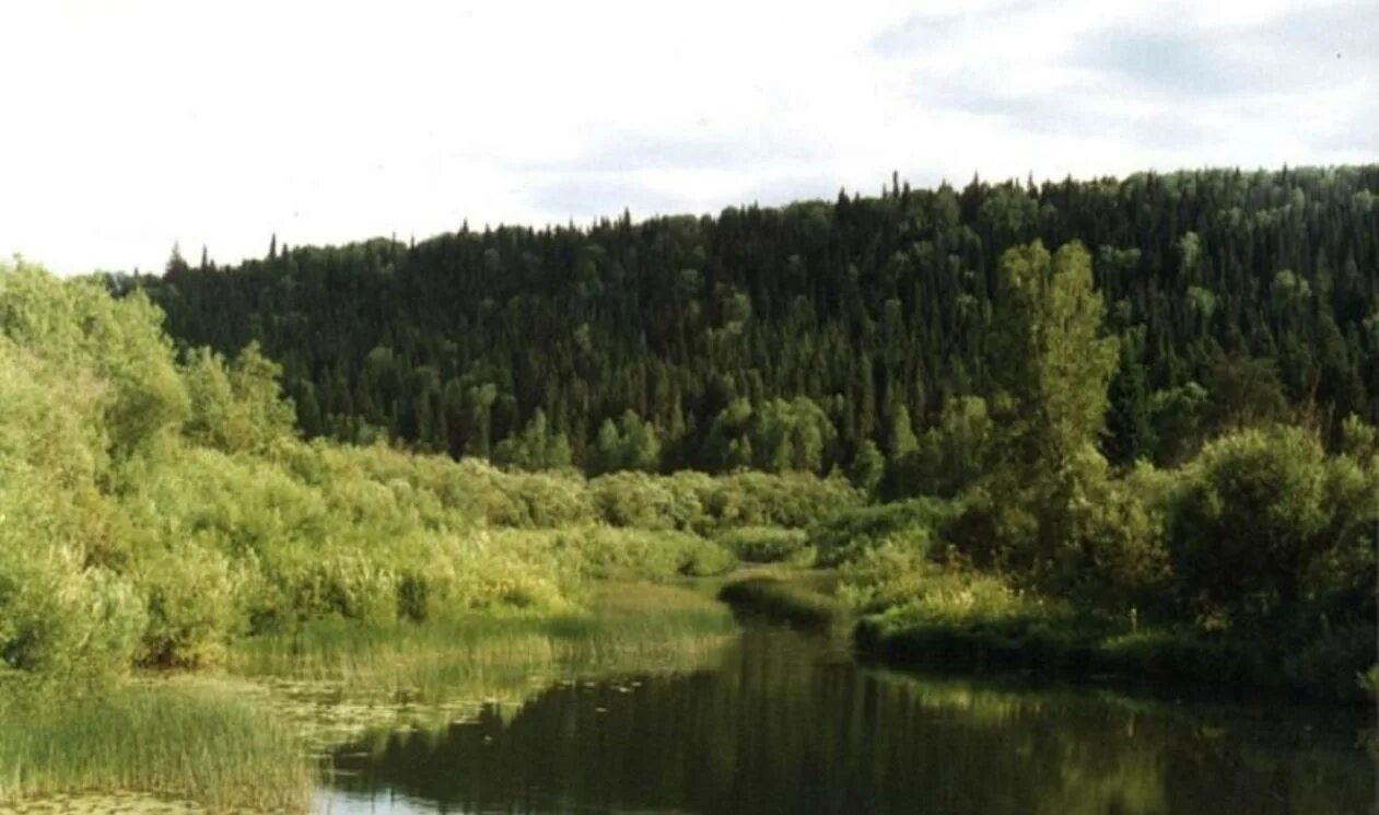 Еранина деревня пермский. Бескрайние сибирские просторы. Чувойш. Тиманский кряж республика коми. Зилаирский кряж.