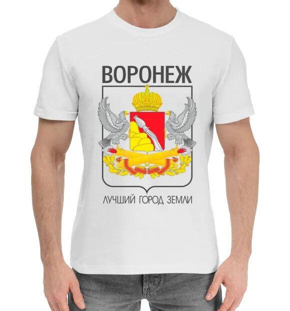 Мужская футболка Воронеж (коллекции Воронежская область) за 1399 ₽ купить в инте