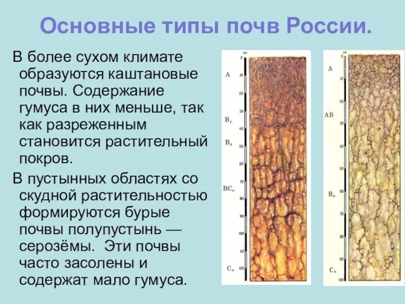 Разнообразие почв 4. Основные типы почвы России 10. Почвы России 4 класс окружающий мир типы. Основные типы почв России. Основные типы почв Росси.