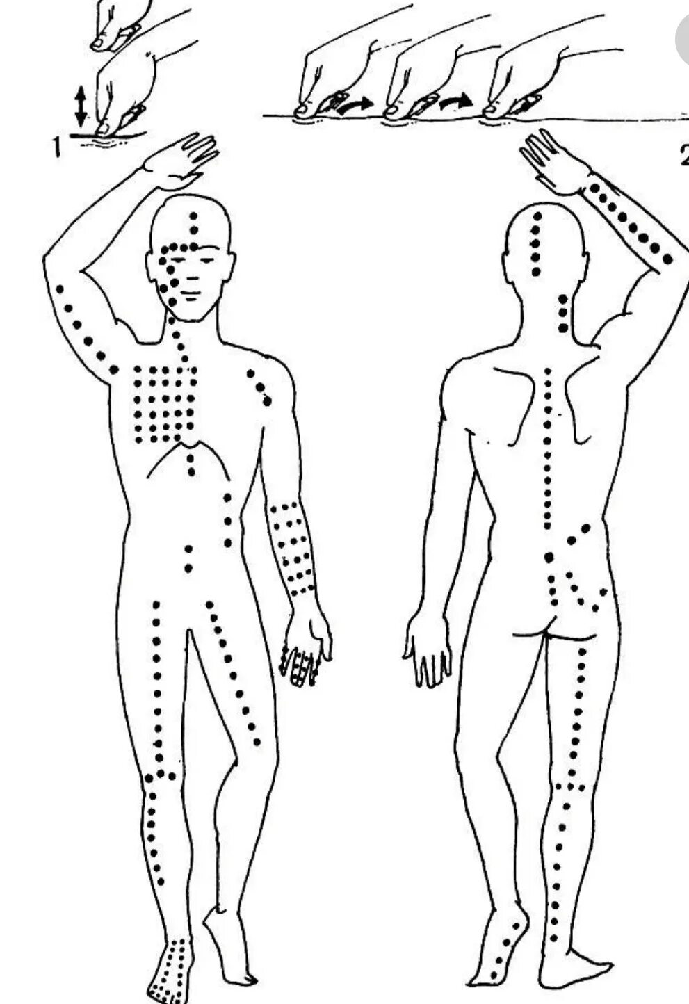 Точки самомассажа. Точечный массаж, массаж шиацу. Шиатсу меридианы. Массаж шиацу точки. Японский точечный массаж шиацу.