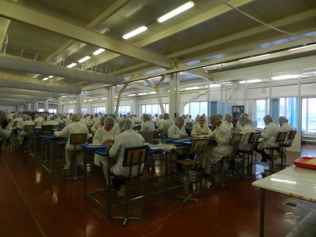 Открытие завода феррони в тольятти. Оператор литейщик. Фабрика качества тольятти завод. Директор сласти тольятти. Ооо швея рассказово.