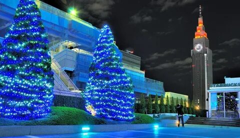 Мир елки