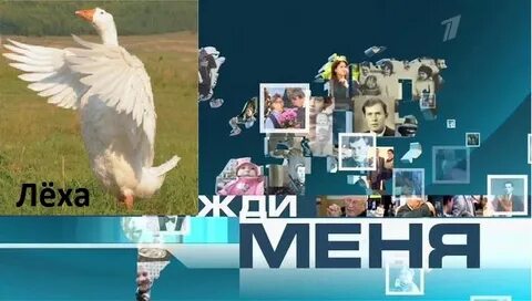 Леха ждет