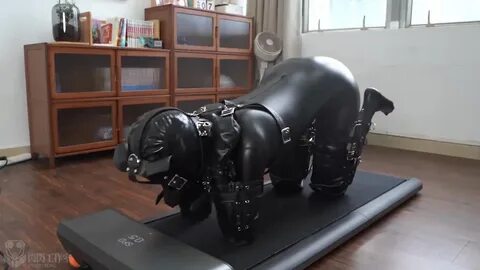K9 bondage