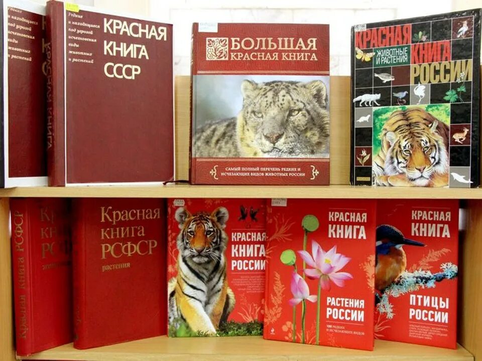 Пиши красная книга. Красная книга. Красная книга России. Красный. Виды красных книг.