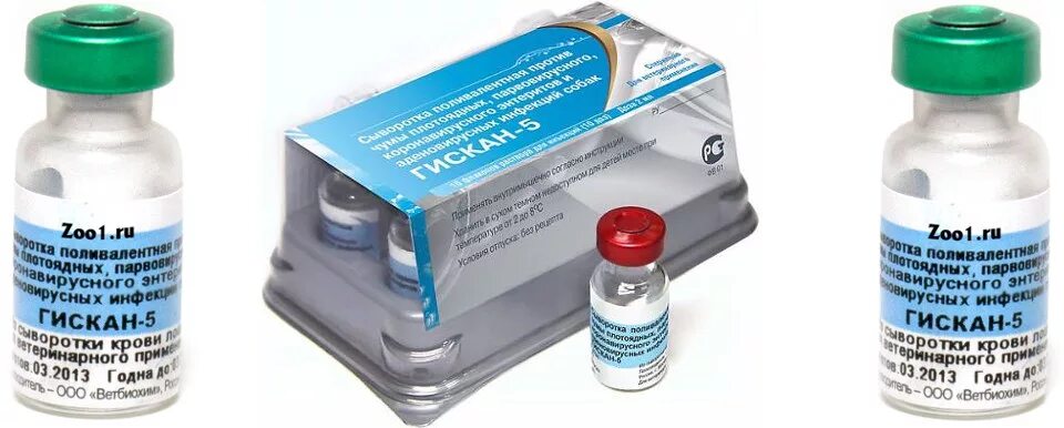 Сыворотка гискан-5 (1фл=1доза) 1флакон. Вакцина для щенков гискан 5. Гискан-5 сыворотка для собак. Сыворотка против чумы собак гискан-5. Вакцина 5 доз