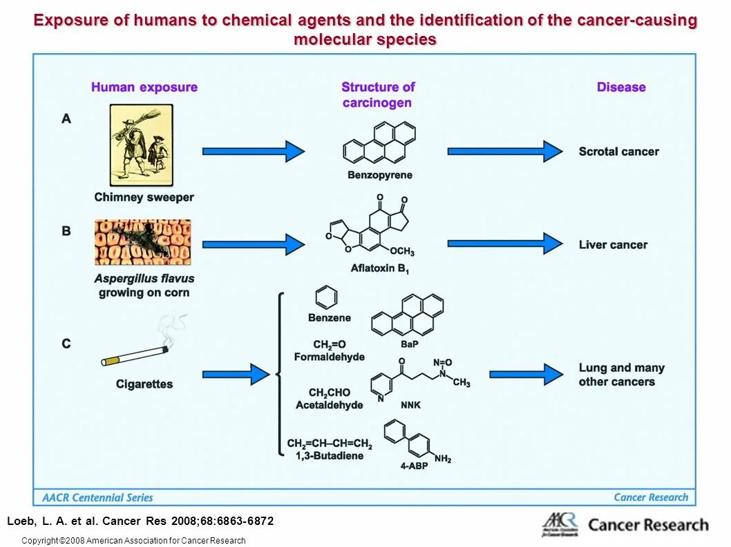 Stages of carcinogenesis. Carcinogenic. Chemical carcinogenesis. IARC carcinogen classification. Cancer res