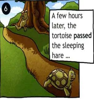Спотлайт 4 hare and the tortoise