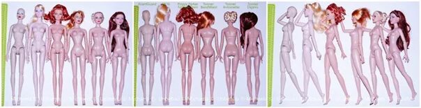 Сравнение как кукла она была. Мерки тела Интегрити Тойз фр6. Тела Интегрити Тойс сравнение. Различие тела кукол монстр Хай. Сравнение тел кукол Интегрити Тойс.