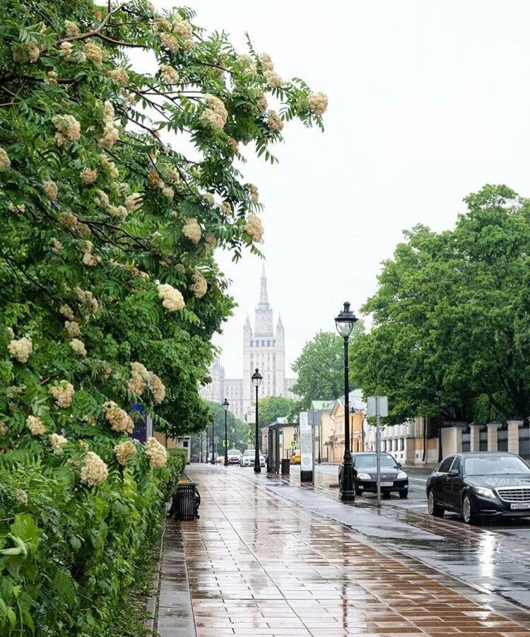 Улицы москвы лето. Лето в Москве. Москва летом. Летние улицы Москвы. Улочки Москвы.