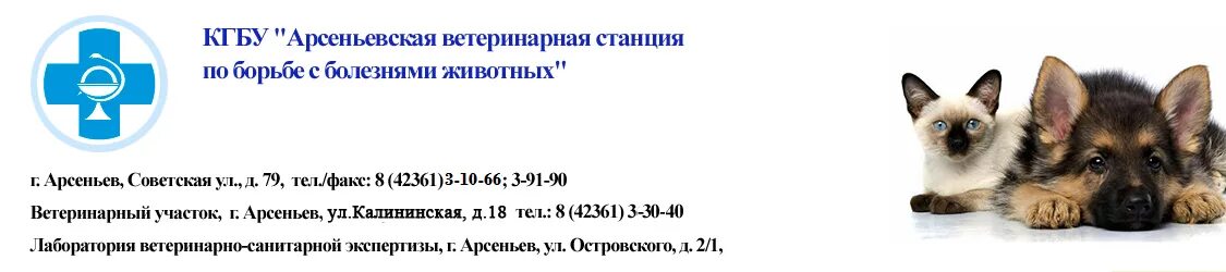 Станция по борьбе с болезнями животных. Ветстанция по борьбе с болезнями животных. Станция по борьбе с заболеваниями животных. Станцию по борьбе с болезнями животных (СББЖ). Государственные учреждения ветеринарной станции