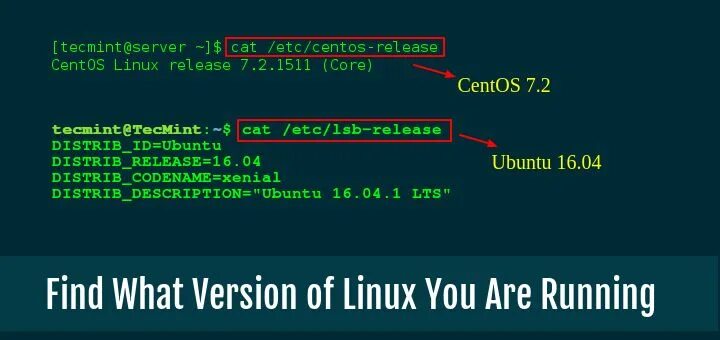 What is a version. Ядро линукс 2025. как узнать название ядра linux?. версия ядра linux. linux kernel all versions status.