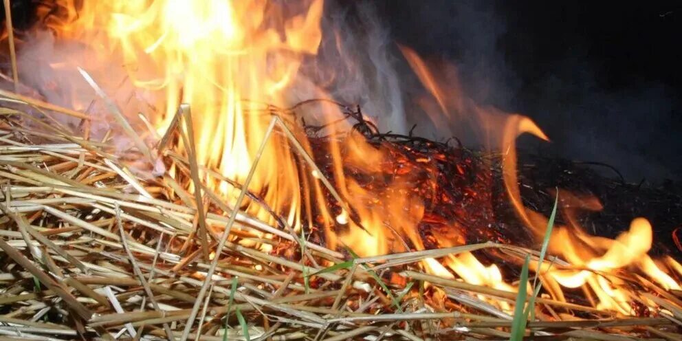 сон горящее сено. сон горящее сено. горящее сено в рулонах. солома в огне. горящий стог сена.