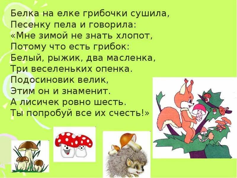 Белка песня слушать. Белка на елке грибочки сушила. Песенка про белочку. Белка песня текст. Песня про белку.