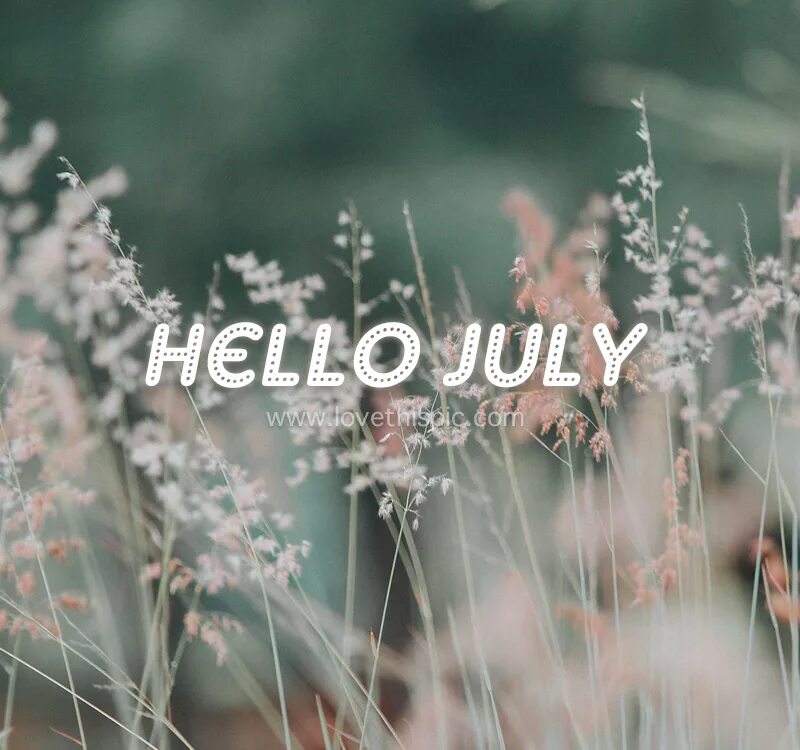 Hello lets me today. Hello july. хеллоу июль. hello фото. hello цветы.