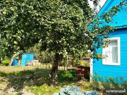 Дачи рязанском районе