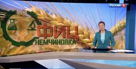 Сюжет программы
