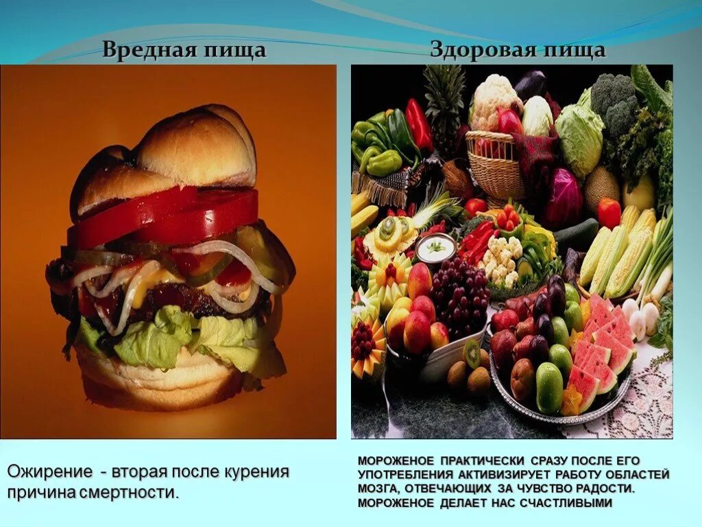 Школьный проект для 4 класса вредная еда К чему приводит острая пища: найдено 85 изображений