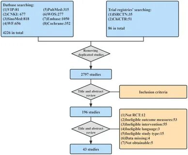 Study identification and selection 