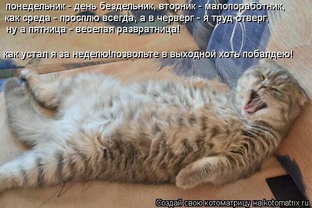 Почему ничего не охота