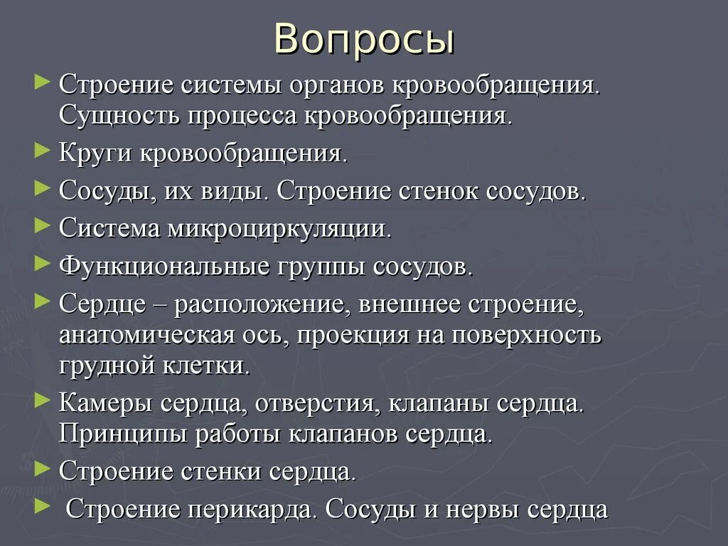 Сосуды малого круга кровообращения. Сущность кровообращения. Сущность процесса кровообращения. Малый круг кровообращения начинается и заканчивается. Функциональные группы сосудов.