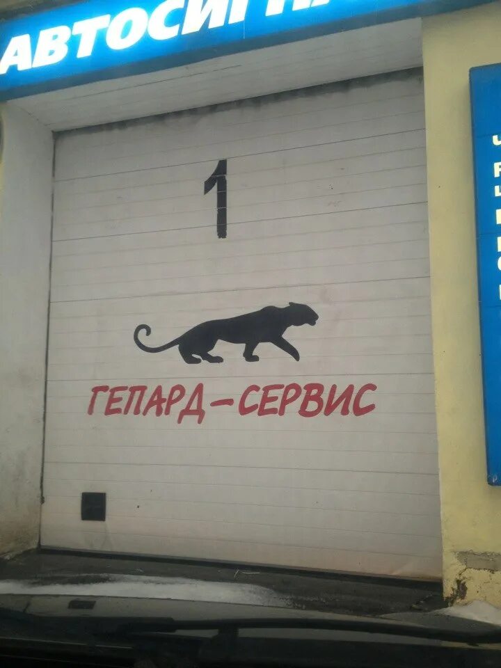 Гепард спб. Гепард сервис. кроссовки сервис гепард. кафе гепард салова 57.