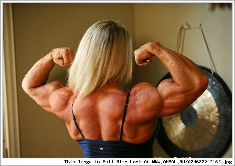 Lisa Giesbrecht muscle. Массивные мускулы. Muscle Амазонс.. Fbb Lisa Giesbrecht. Goddess amazon