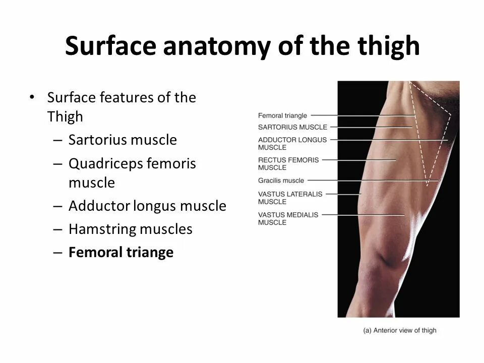 Surface features
