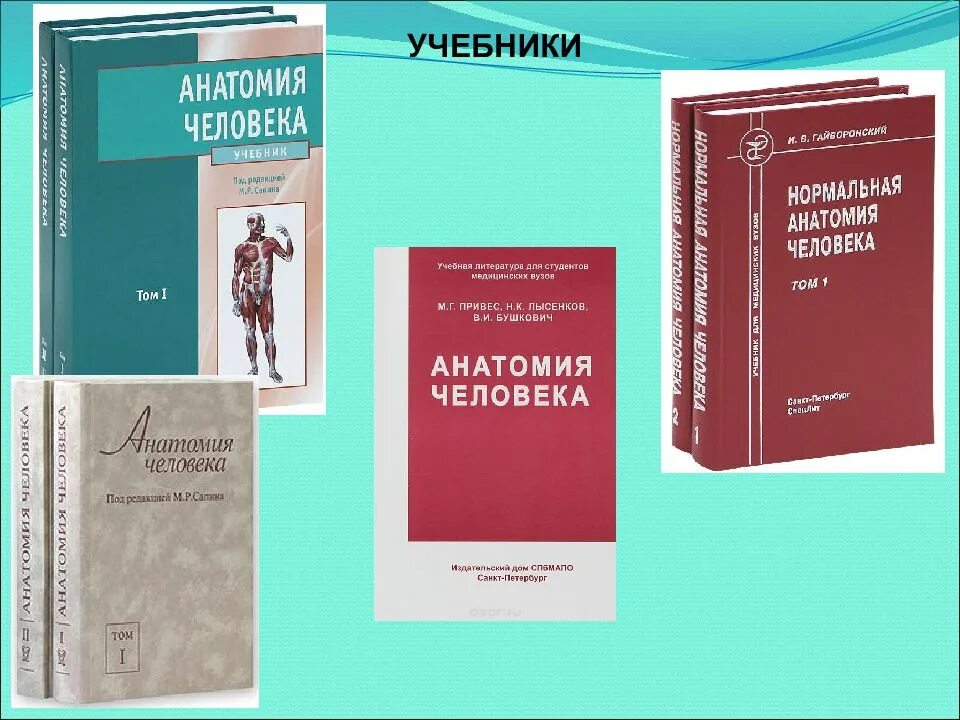 Учебники для студентов медицинских вузов. Анатомия человека учебник для медицинских. Анатомия человека учебник для мед вузов. Анатомия человека учебник для вузов. Нормальная анатомия человека учебник.