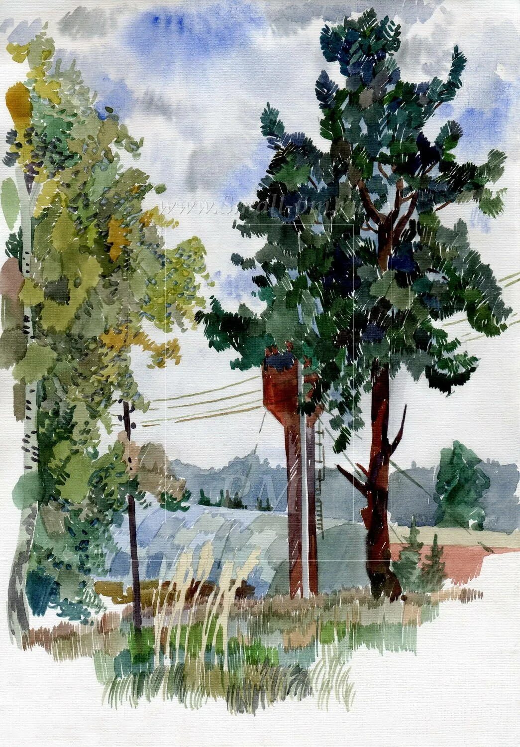 Пленэр этюды акварелью. Пленэрные этюды акварелью. Группа этюд. Этюд группы деревьев. Береза акварелью пленэр.