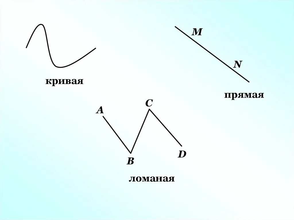Составляющие данной линии. Прямые и ломаные линии. прямые и кривые линии. прямая кривая ломаная. прямые кривые и ломаные линии.
