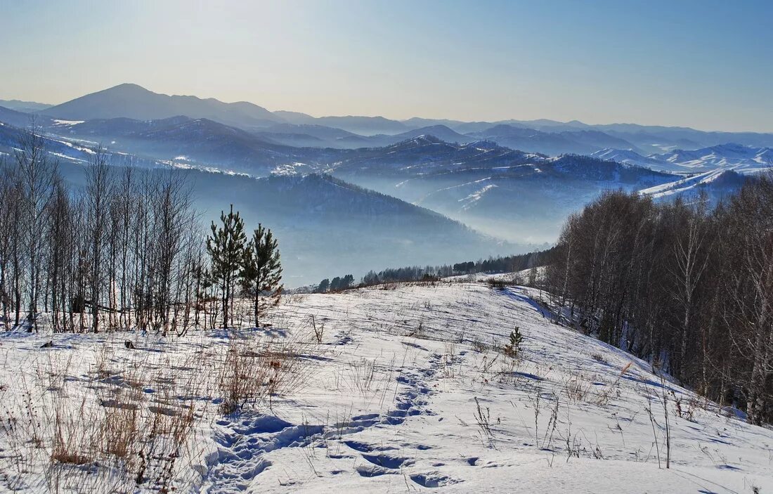 Сколько сейчас в горно алтайске. Горно Алтайск. Горно-Алтайск зимой. Гора Ухтюба Горно Алтайск. Зимний Горно Алтайск.