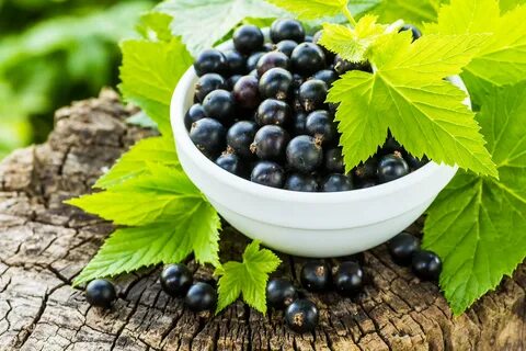 Currant на русском